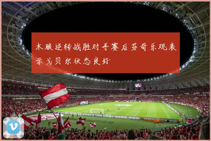 木狼逆转战胜对手赛后芬奇乐观表示戈贝尔状态良好