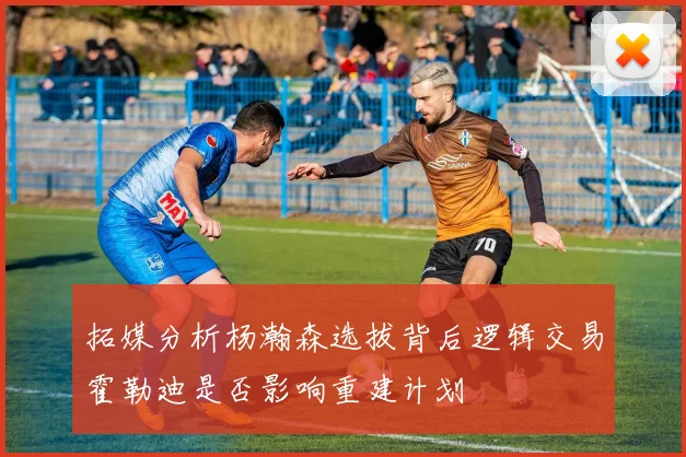 拓媒分析杨瀚森选拔背后逻辑交易霍勒迪是否影响重建计划