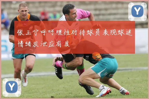 张玉宁呼吁理性对待球员表现球迷情绪发泄应有度